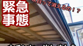 横須賀市　山本　塗装　木目　防腐　着色　オスモ　オイル