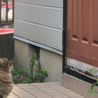 玄関ドア横須賀市山本塗装